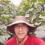 Foto del perfil de Pedro Lema Chirau